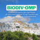 La città Ostuni fa da sfondo agli ulivi monumentali
